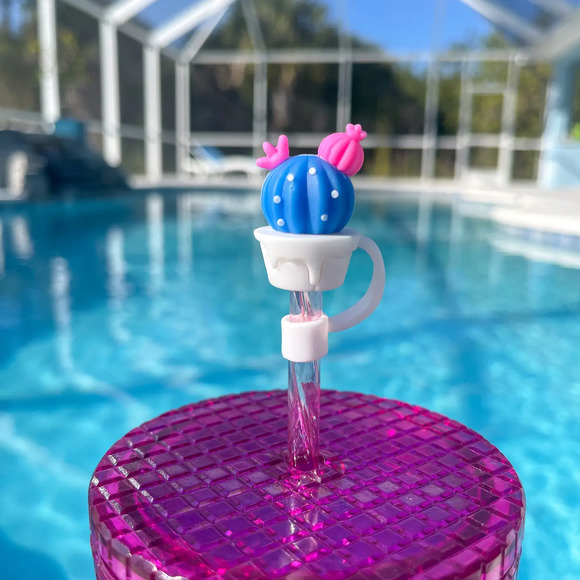 Blue Cactus Straw Topper Stanley Cup Accessory - Picture 1 of 1